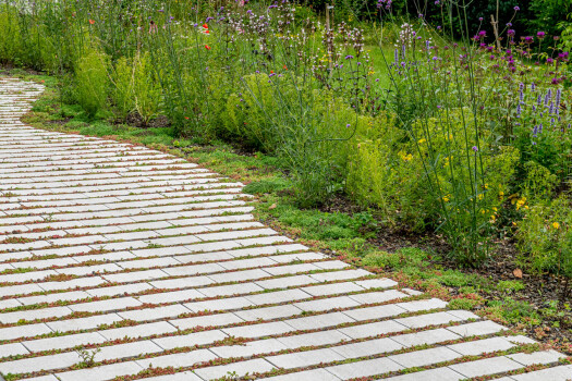 Greenline-Rasenfugenstein, Cubus Grau.